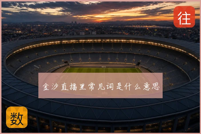 金沙直播里常见词是什么意思